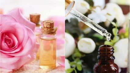 Quels sont les bienfaits de l’huile de rose pour la peau? Comment appliquer l’huile de rose sur la peau ?