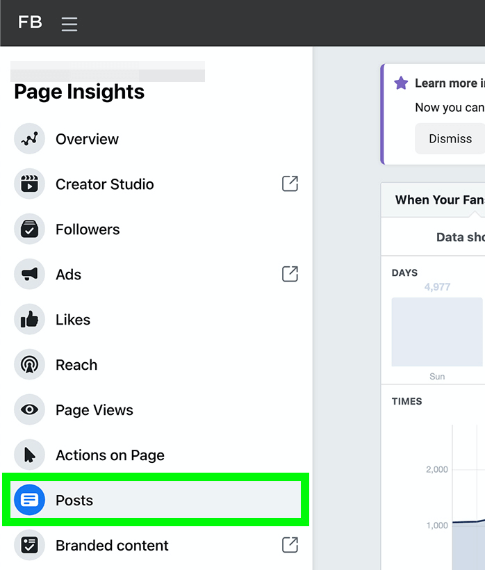 image de l'option Publications dans Facebook Page Insights