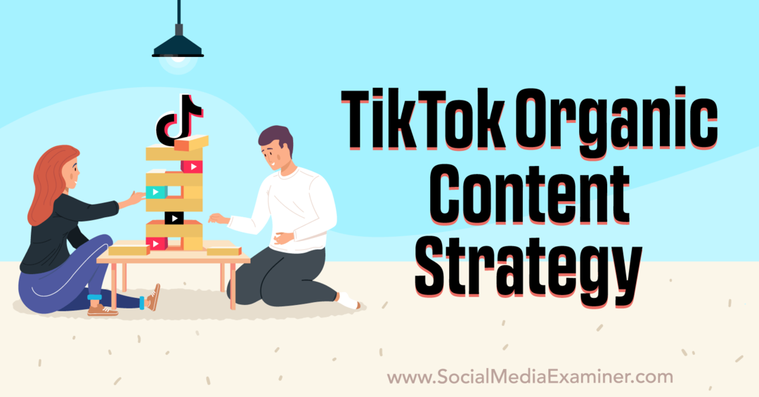 Stratégie de contenu organique TikTok: examinateur de médias sociaux