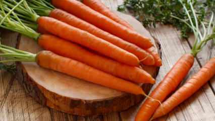 Comment faire pousser des carottes dans des pots à la maison? Méthodes de culture de la carotte en pot