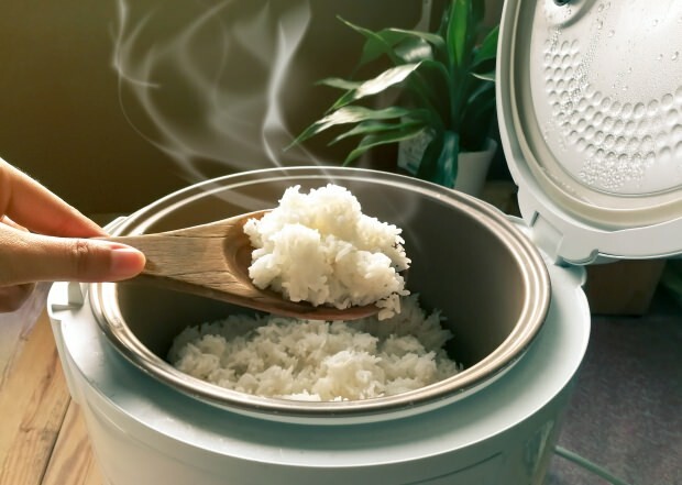 Quelles sont les caractéristiques du riz baldo