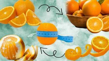 Combien de calories y a-t-il dans une orange? Combien de grammes fait 1 orange moyenne? Manger de l'orange fait-il grossir ?