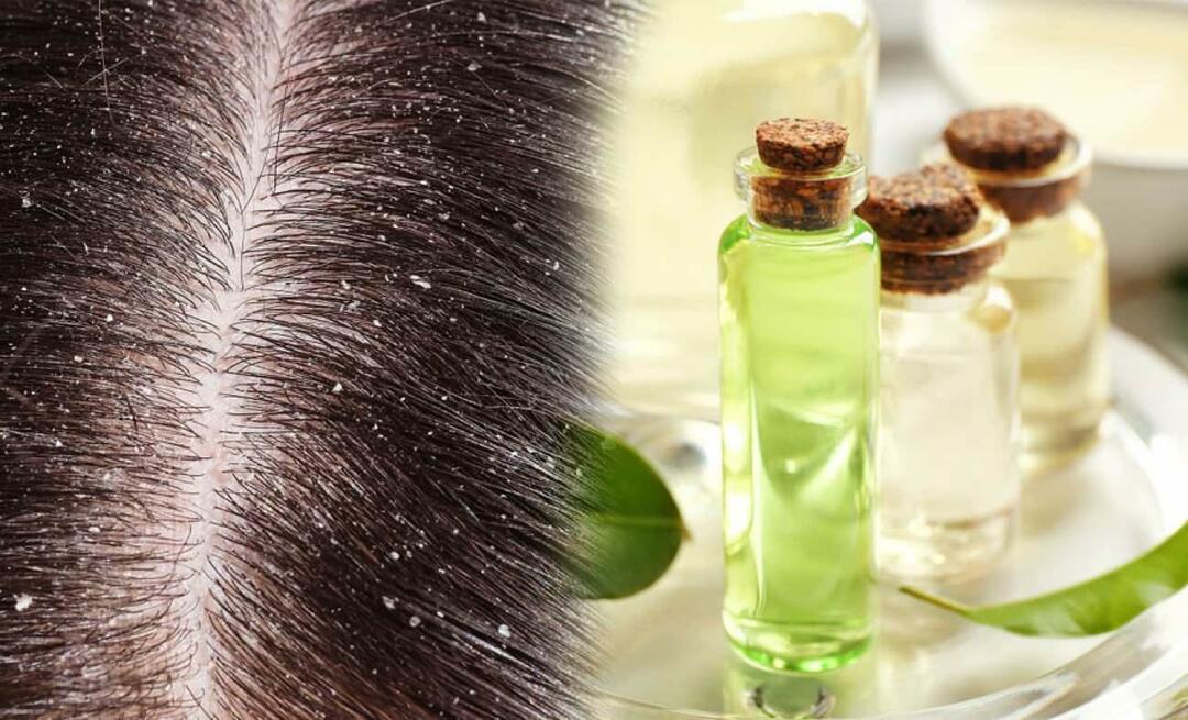 Peut-on utiliser l'huile d'arbre à thé contre les pellicules? Pouvez-vous appliquer de l’huile d’arbre à thé sur vos cheveux et est-ce bon ?