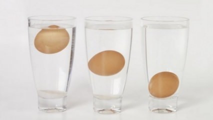 Comment comprendre les œufs rassis?