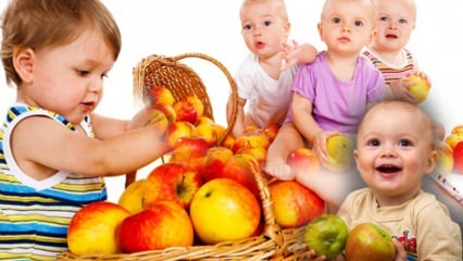 Quels fruits devraient être donnés aux bébés? Consommation et quantité de fruits pendant la période des compléments alimentaires