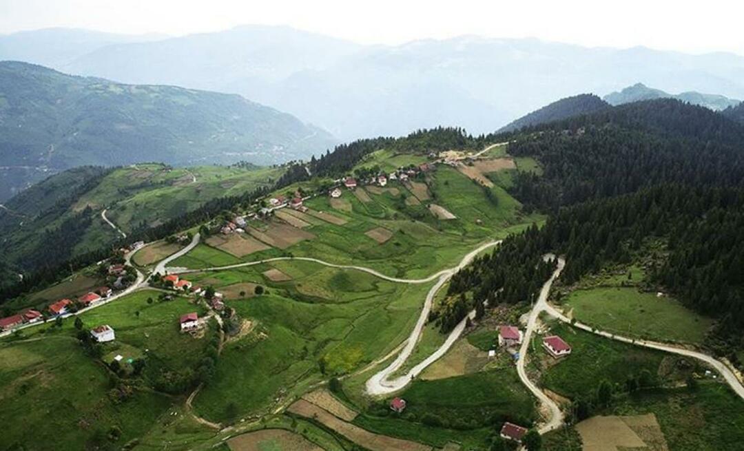 Où se trouve le plateau de Çambaşı? Comment se rendre au plateau de Çambaşı ?