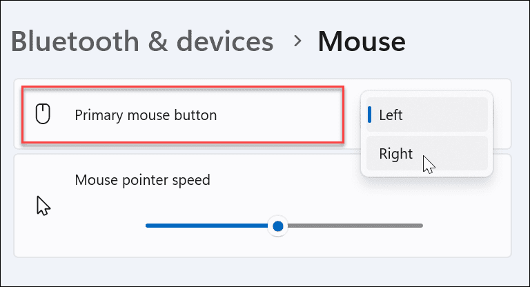 Rendre la souris gaucher dans Windows