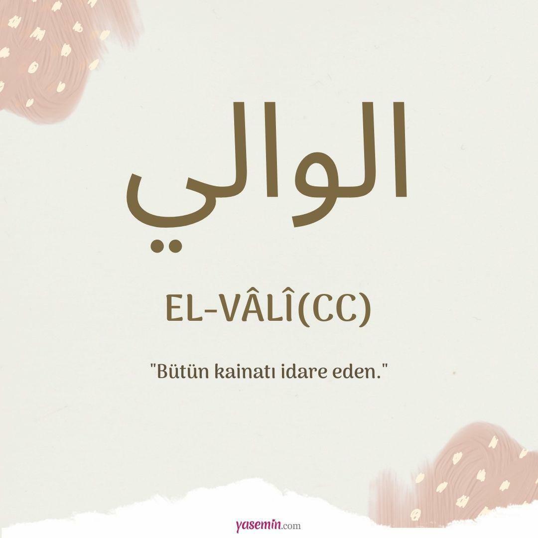 Que signifie al-Vali (c.c) ?
