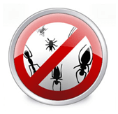 Installez Anti-virus pour éliminer les bogues et le code du virus nasy!