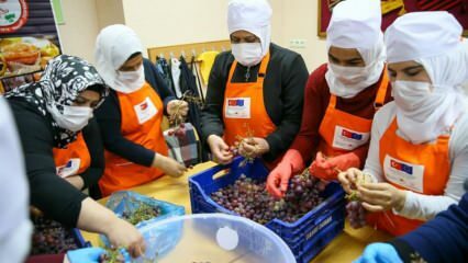 Des femmes syriennes apprennent à transformer le raisin en mélasse à Izmir