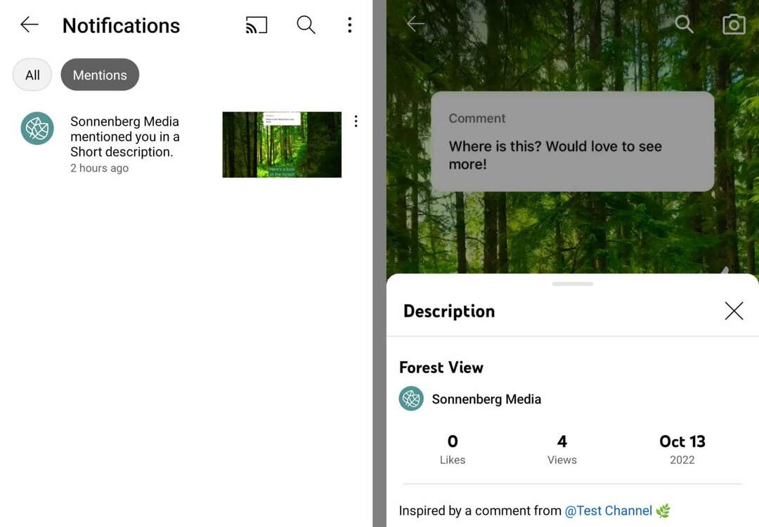 comment-utiliser-youtube-shorts-commenting-feature-to-tag-and-mention-commenters-tag-username-get-notification-in-mentions-sonnenbergmedia-example-17