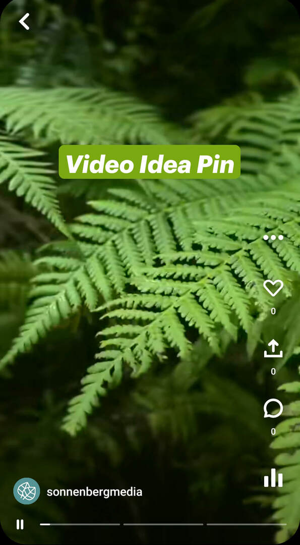 que-sont-les-idées-pinterest-pins-sonnenbergmedia-video-pin-example-1