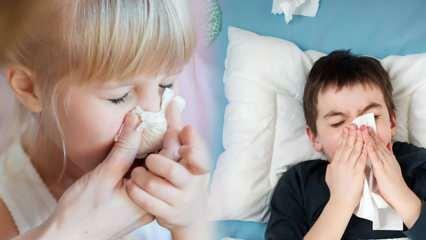 Augmentation des cas de grippe chez les enfants peur! Un avertissement critique est venu des experts