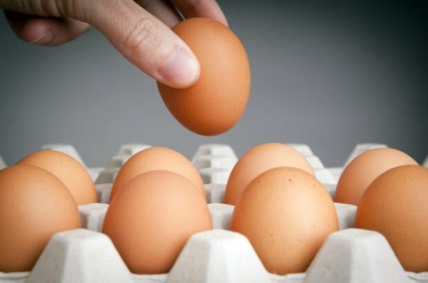 Méthodes de stockage des œufs