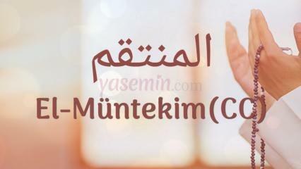 Que signifie Al-Muntakim (c.c)? Quelles sont les vertus d’Al-Muntakim (c.c) ?