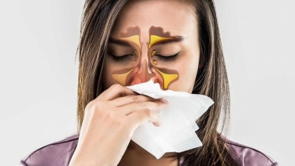 Qu'est-ce qu'une allergie? Quels sont les symptômes de la rhinite allergique? Combien de types d'allergies existe-t-il? 