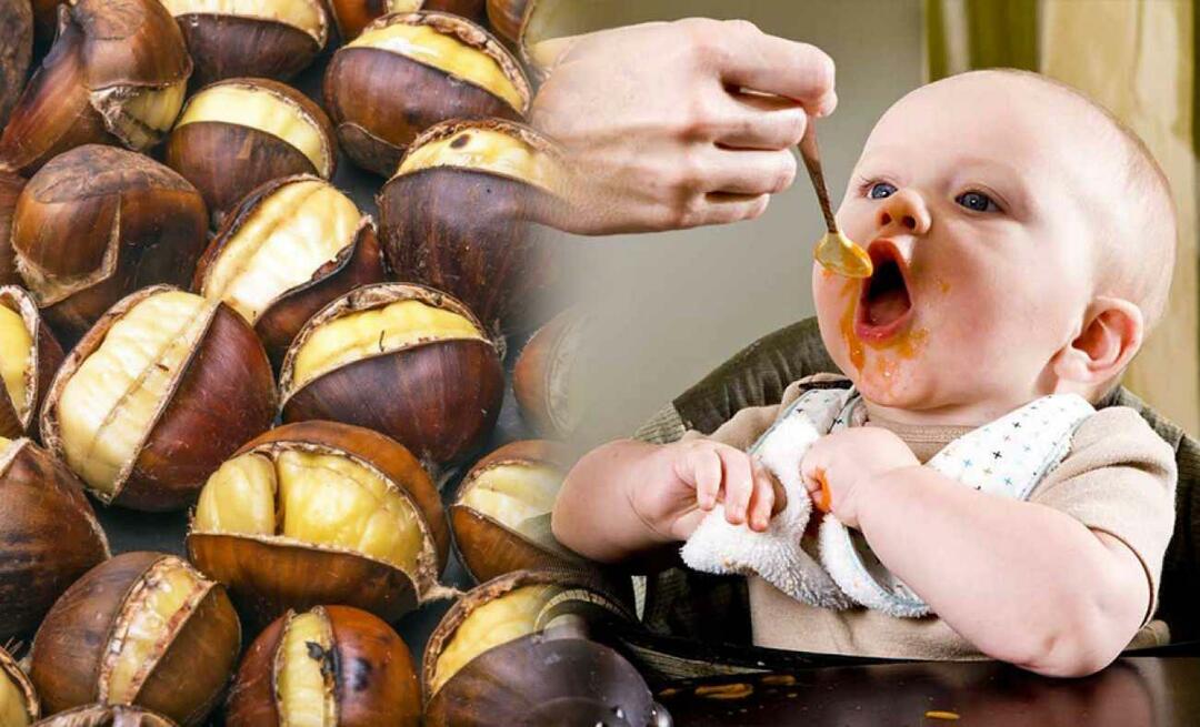 Les bébés peuvent-ils manger des marrons? Comment faire un pouding aux châtaignes ?