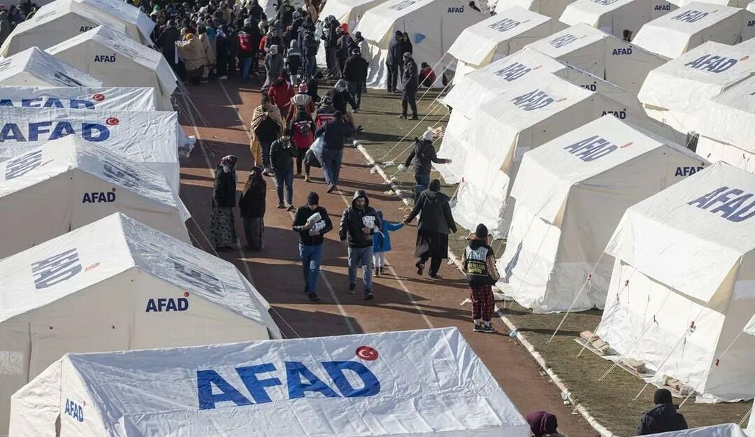 Le 15 février, tous les écrans deviennent un seul cœur: Solidarité du siècle...