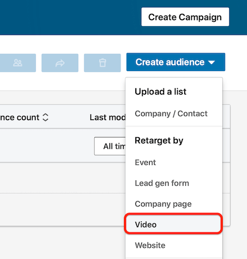 LinkedIn Créer un sous-menu d'audience avec l'option vidéo en surbrillance