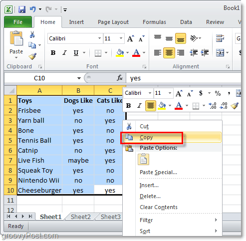 copier une feuille de données Excel 2010 entière pour la conversion de la mise en page