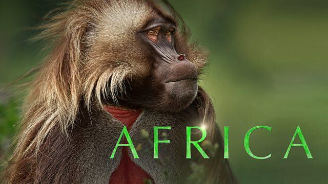Afrique / Afrique (2013)