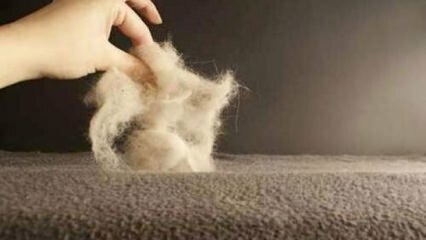 Astuces de nettoyage de tapis 