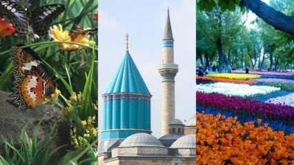 Guide de voyage à Konya