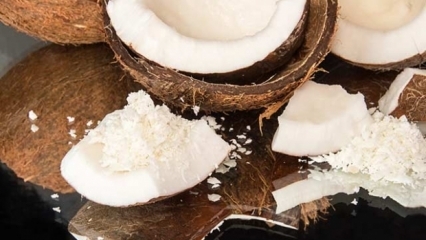 Comment couper la noix de coco est le plus pratique?