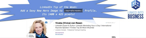 viveka von rosen image de héros LinkedIn