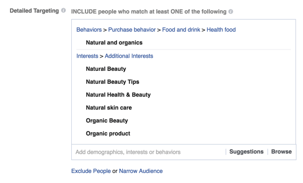 Exemple d'options de ciblage détaillées pour une annonce facebook