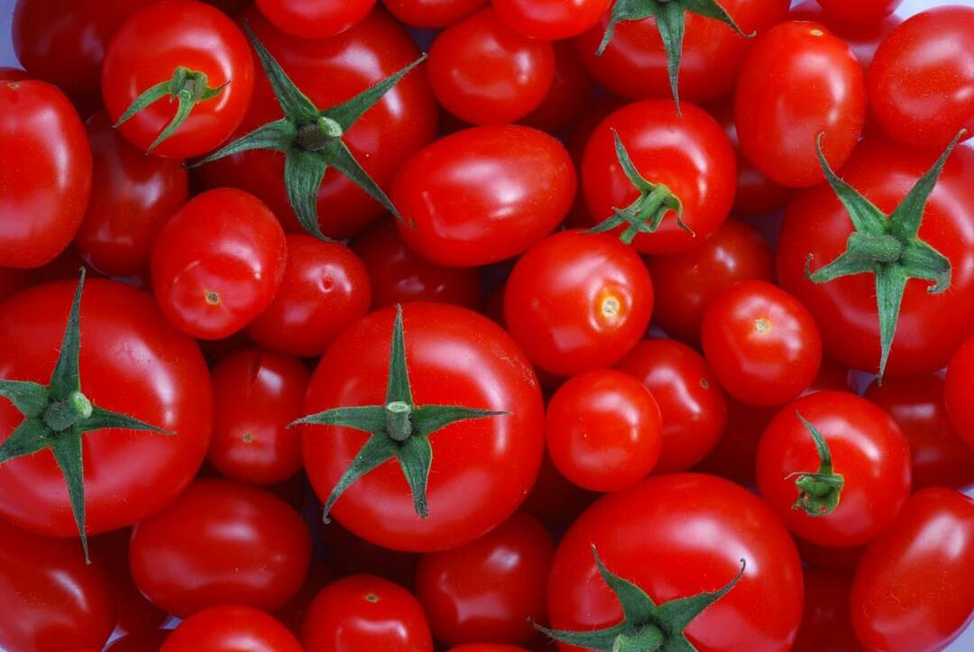 Comment choisir les tomates menemenlik