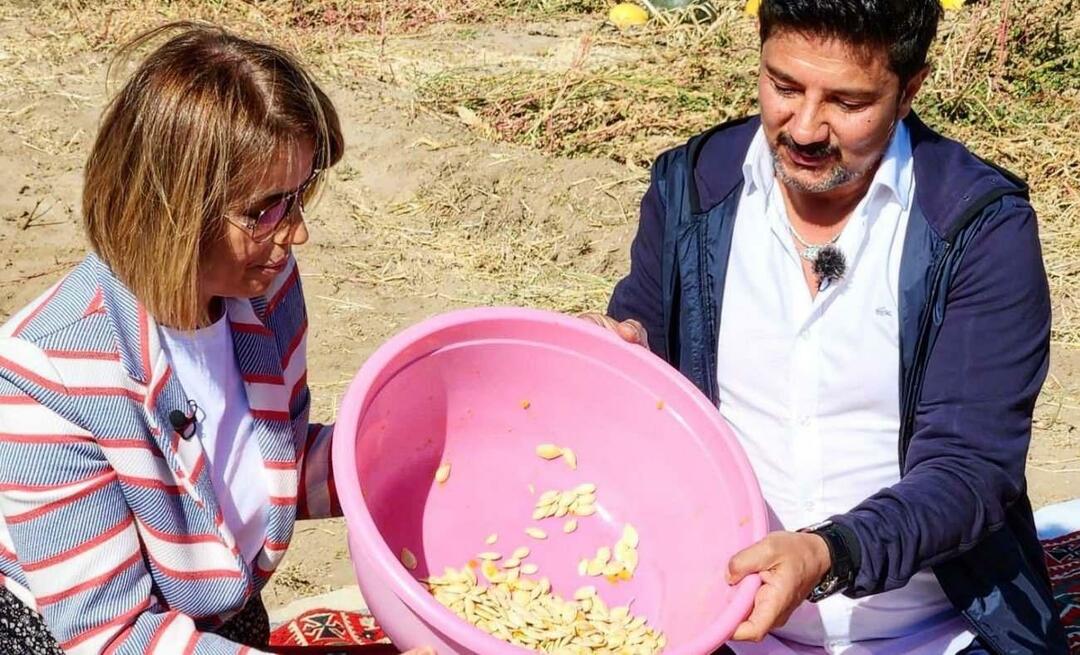 Des graines de citrouille pour les collations ont été récoltées à Nevşehir !