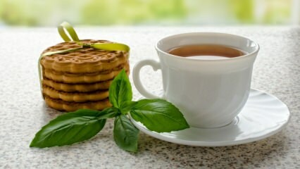 Quels sont les bienfaits du basilic? Comment faire du thé au basilic?