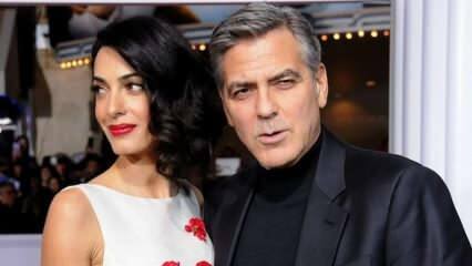 Le couple de rêve George Clooney et Clooney Alamuddin divorcent!