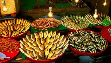 Points de vente de poisson frais et économique à Istanbul