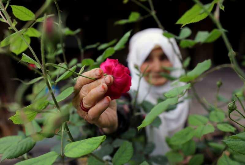 Mamie Ayşe, 83 ans, qui a battu Kovid-19, fait des confitures parfumées à la rose !