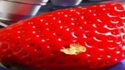 Vidéo fraise qui a marqué les réseaux sociaux! Vous ne remettrez plus la fraise dans la bouche ...