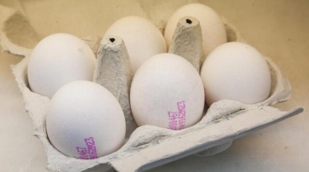 Comment comprendre un bon œuf