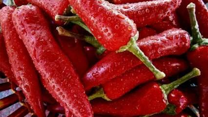 Prolonger la durée de vie: Quels sont les avantages du piment fort? Que se passe-t-il si vous consommez régulièrement du poivre de Cayenne ?