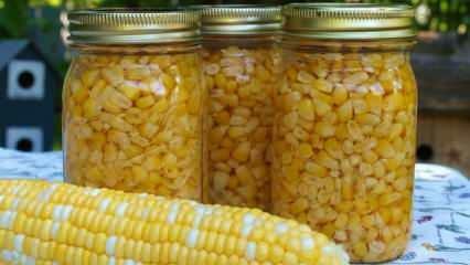Comment est stocké le maïs? Les méthodes de stockage du maïs les plus simples! Préparation du maïs d'hiver