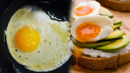Quelles huiles sont bénéfiques pour notre santé? Si vous consommez l'œuf insuffisamment cuit ...