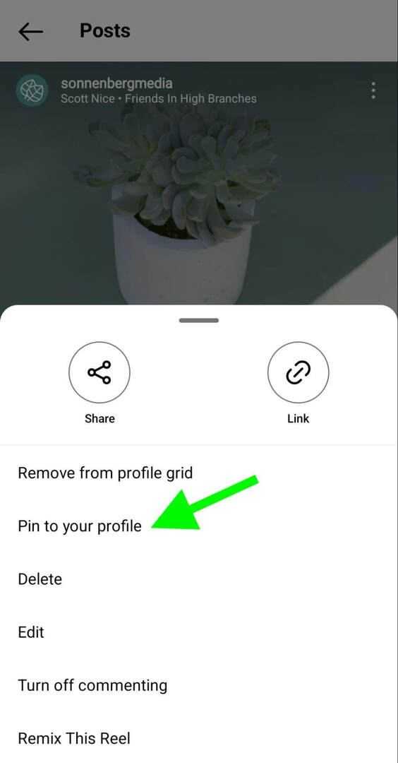 comment-instagram-pin-reels-profile-grid-sonnenbergmedia-step-1
