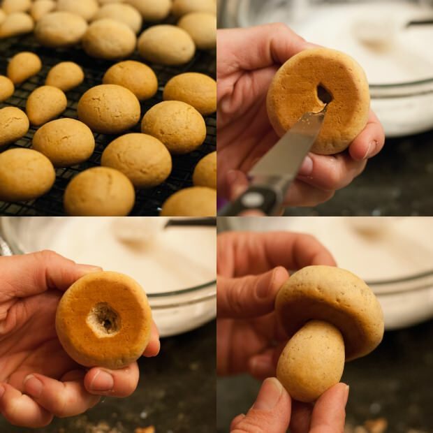 forme alternative de biscuit aux champignons 