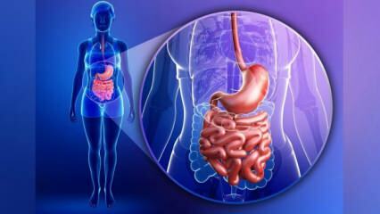 Qu'est-ce que le syndrome de l'intestin qui fuit? Quels sont les symptômes du syndrome du côlon qui fuit?
