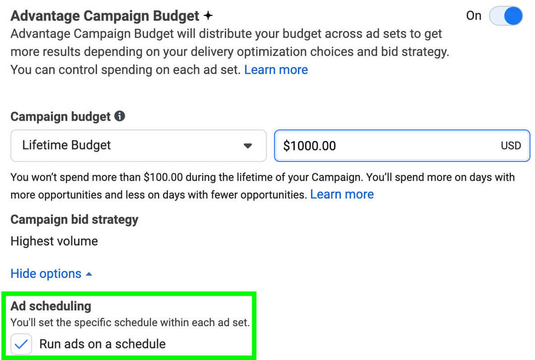 comment-lancer-des-annonces-d'appel-pour-facebook-créer-programmer-exécuter-des-annonces-sur-une-boîte-horaire-activer-l'avantage-campagne-budget-annonce-planification-exemple-6