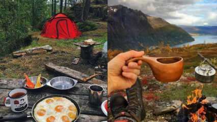 Quels sont les équipements de cuisine nécessaires pour le camping? Liste des équipements de cuisine nécessaires pour le camping ...