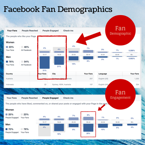 graphique démographique des fans facebook