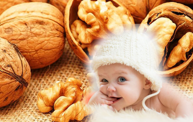 les noix profitent aux bébés