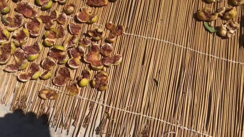 Comment les figues sont-elles séchées? Méthode de séchage des figues à la maison! Conditions de stockage des figues ...