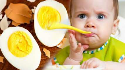 Comment donner les jaunes d'œufs aux bébés? Combien de mois pour commencer l'oeuf? Recette d'oeuf de bébé